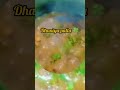 حضرة صلى الله عليه وسلم #🍲فيديو# #allah #sort #love