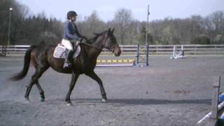 SUNP0062.AVI