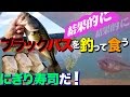 ブラックバスを釣って食う 炙り焼きにぎり寿司 Largemouth bass fishing. Catch & Eat.