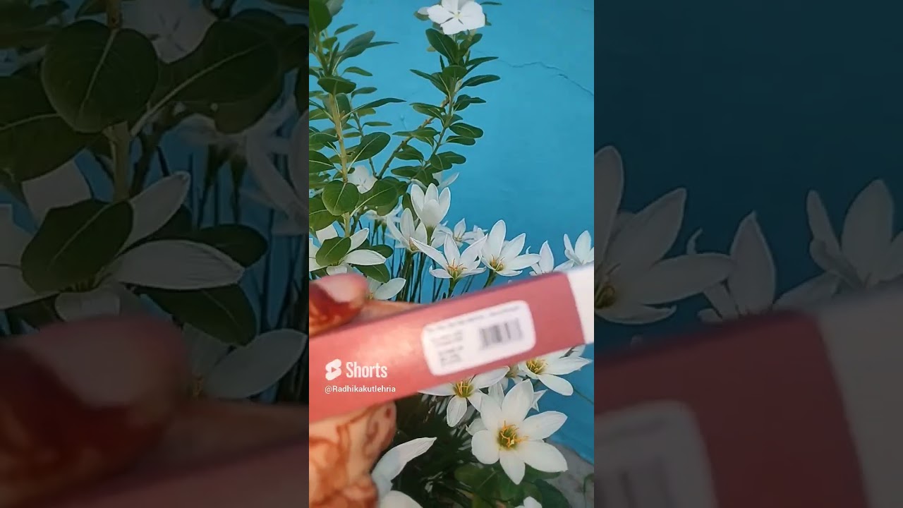 Half N Half lipstick nude velvet lipgloss shade Matt 