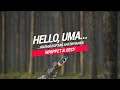 Hello, UMA... whippet в лесу