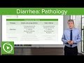 Diarrhea: Pathology, Types & Causes – Pediatric Gastroenterology | Lecturio