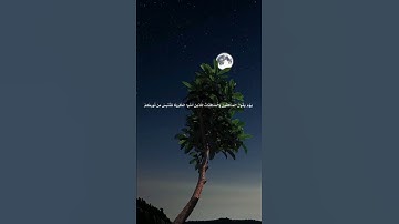 سورة الحديد |سلمان العتيبي |تلاوه تفوق الخيال