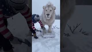 Usa winter rescue #usa #usashorts #icefrog #usabasedvideo #aivideo #educational #usaaudience #viral