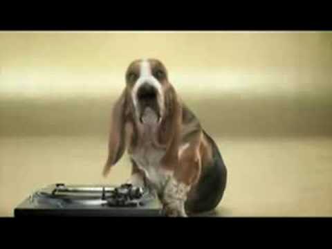 Собака- Beatboxer