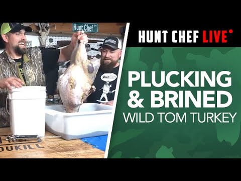 How to Clean a Wild Turkey and Prepare for Brining