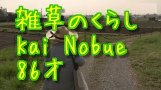 甲斐信枝  Kai Nobue 　雑草　絵本　８６歳現役