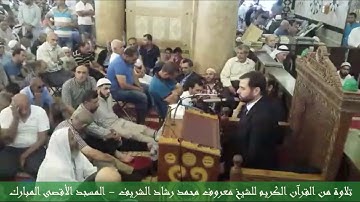 تلاوة من القرآن الكريم للشيخ معروف محمد رشاد الشريف في رحاب المسجد الأقصى