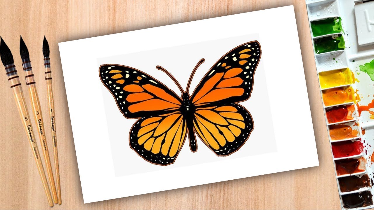 butterfly drawing / How to draw Butterfly with watercolour ...
