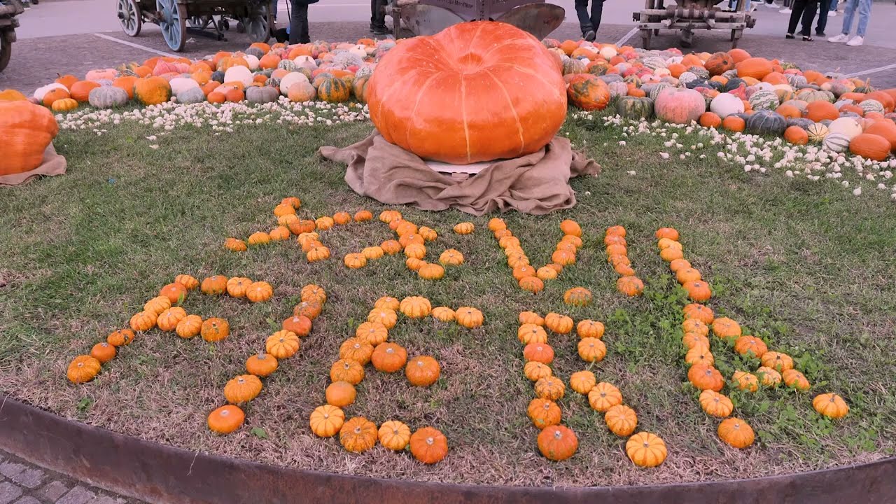 XXVII Fiera Regionale della Zucca di Piozzo (CN): highlights