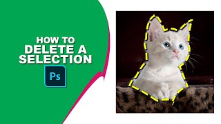How to delete a selection in Photoshop