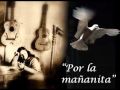 Miniature de la vidéo de la chanson Por La Mañanita