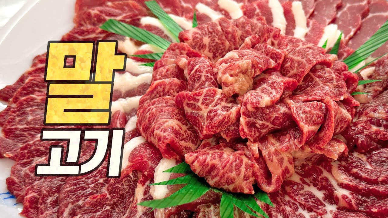 일본 말고기 탐방기 : 믿을 수 없는 馬블링! 말육회, 말구이, 말내장, 말튀김, 말초밥, 말우동... 죄다 먹어봤습니다! (馬肉, All about HORSE meat)
