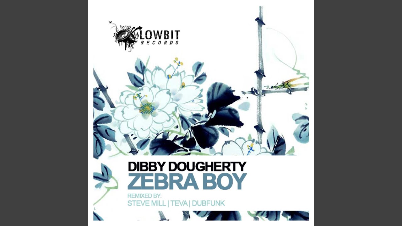Zebra Boy (Steve Mill Remix)