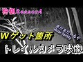 【狩猟season4】イノシシ☆トレイルカメラ☆ファミリー現る