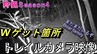 【狩猟season4】イノシシ☆トレイルカメラ☆ファミリー現る