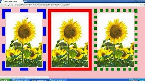 How to add Border to Images in Html and CSS Website