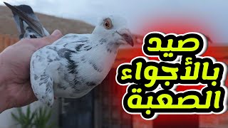 نصاد الطير قوي والسبب الاجواء والامطار القوية