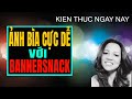 Xenixcoin: Hướng Dẫn Nâng Cấp Tài Khoản Xenixcoin Bằng ...