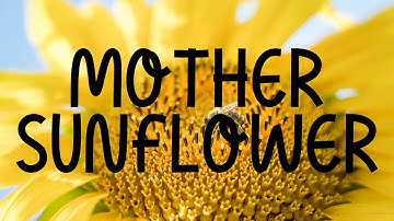 Mother Sunflower Sans Font | New Font Download 2022