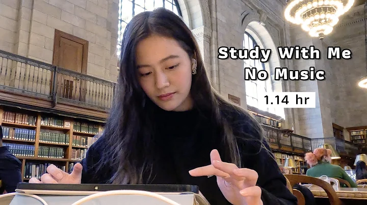 STUDY WITH ME in New York Public Library, No music | laohaiFrung