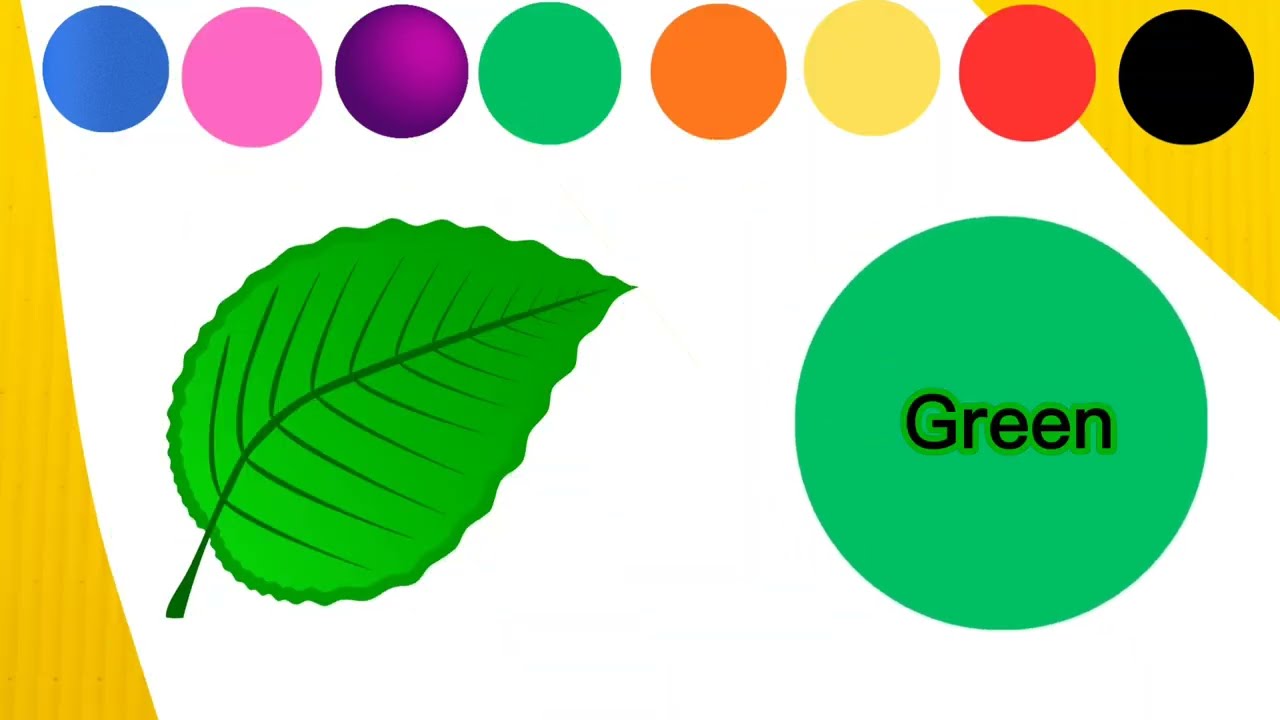 Recognition of colors with fun and music, Let's learn colors for preschool kids and toddlers 