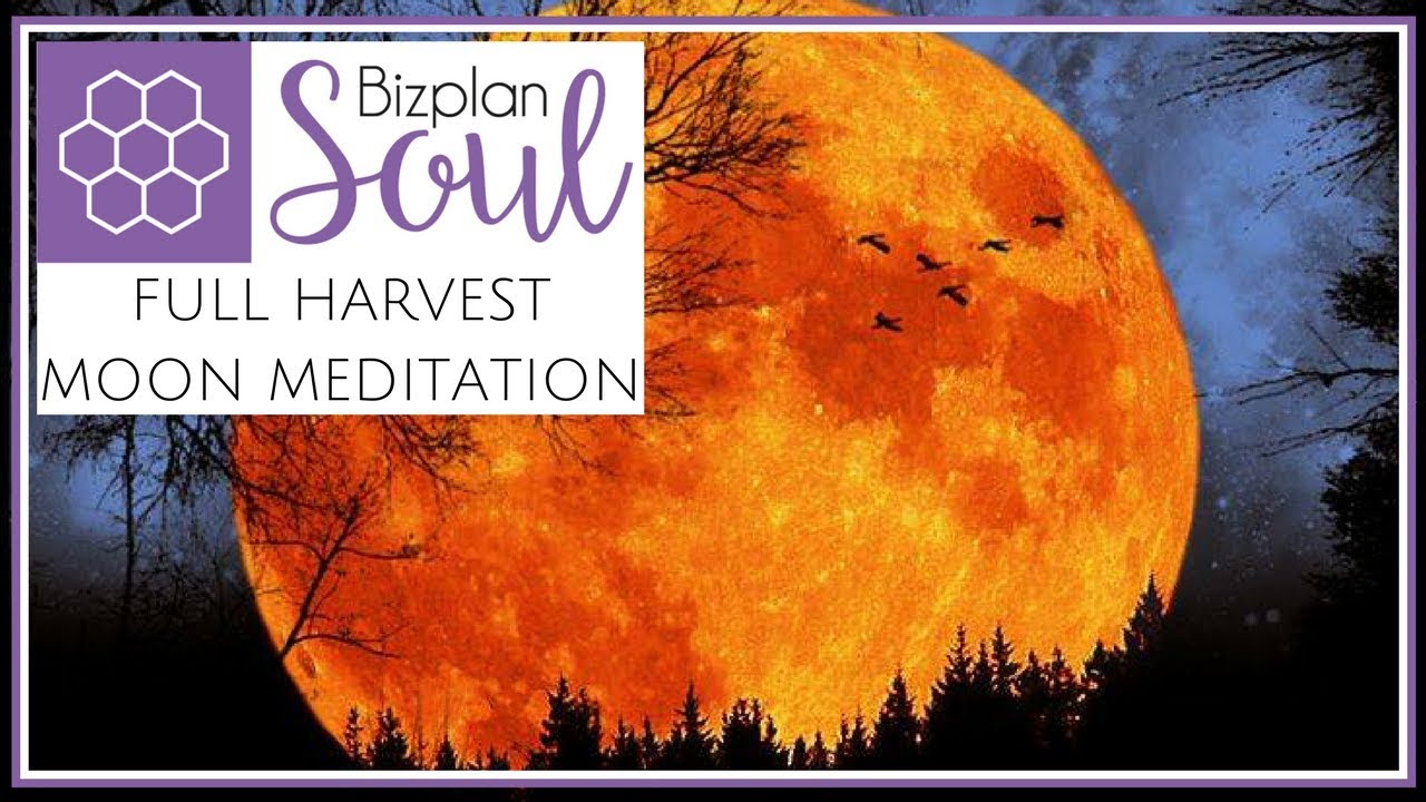 Meditation to Connect with The Full Harvest Moon | Bizplansoul 🐝