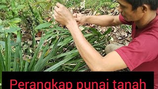 Download lagu Jelajah Hutan: Cara Tradisional Pasang Jerat Punai Tanah Paling Ampuh (Ep. 1)