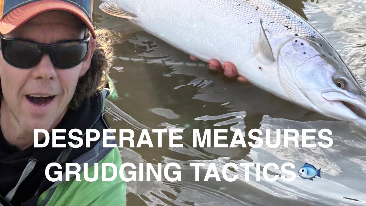 How I Finally Caught Salmon 🎣👊 – Plus 5 Tips for Pink Salmon in the Sea