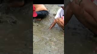 The Fun Of Draining Fish