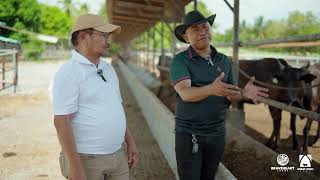 Prt.2 PRACTICAL CATTLE RAISING with Former Agriculture Secretary Manny Piñol