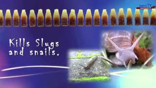 Coke - just a soft drink | 30.09.2015 | www.jugend-tv.net screenshot 5