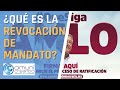 ¿QUÉ ES LA REVOCACIÓN DE MANDATO?