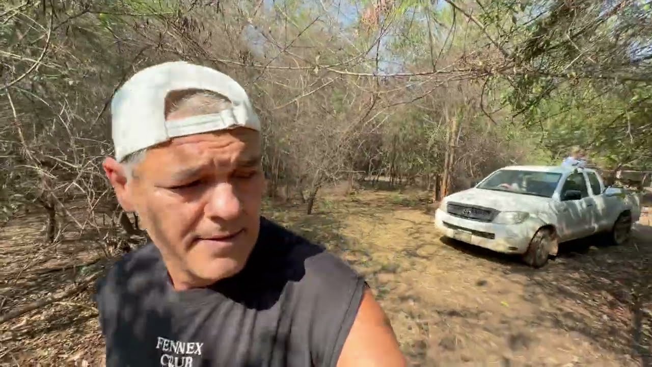 La gatita pasara por quirofano