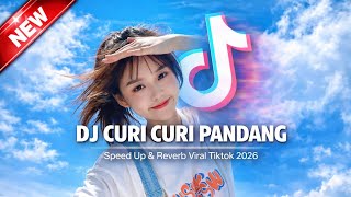 DJ CURI CURI PANDANG JUAN REZA ( Speed up   Reverb ) 