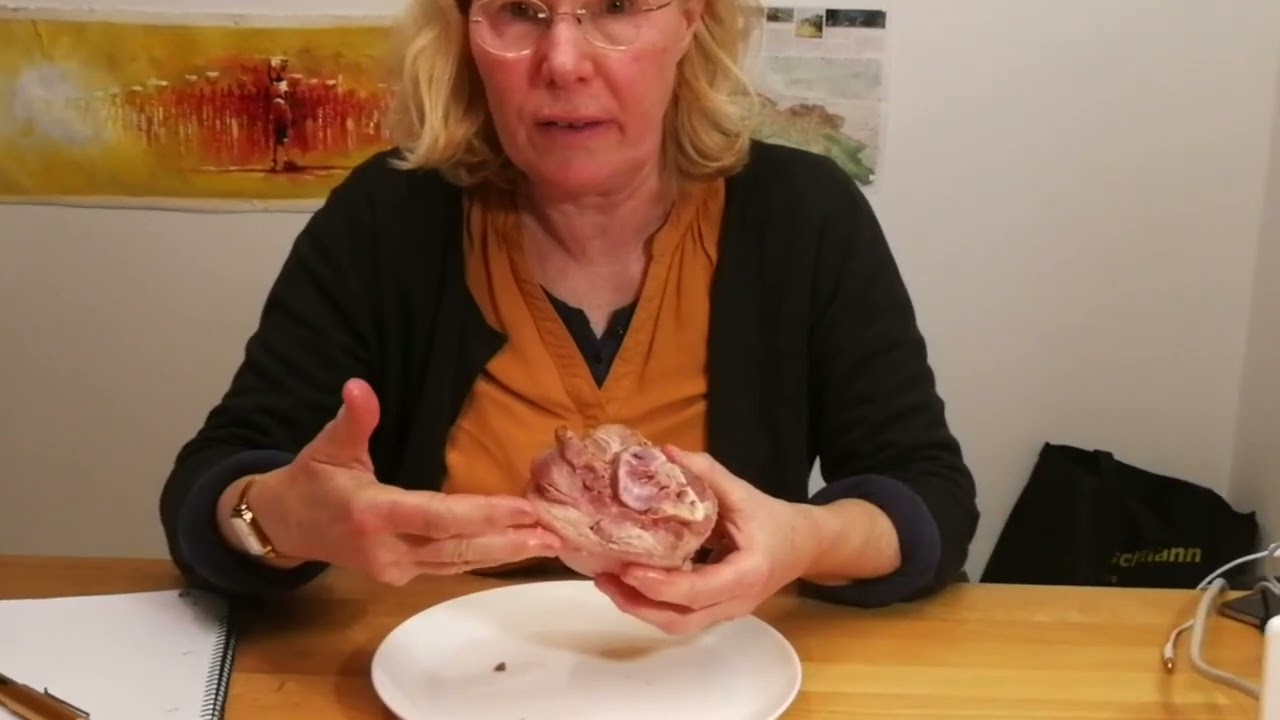 Was sind eigentlich Fazien? Fazien beim Pferd verstehen mit Tanja Richter