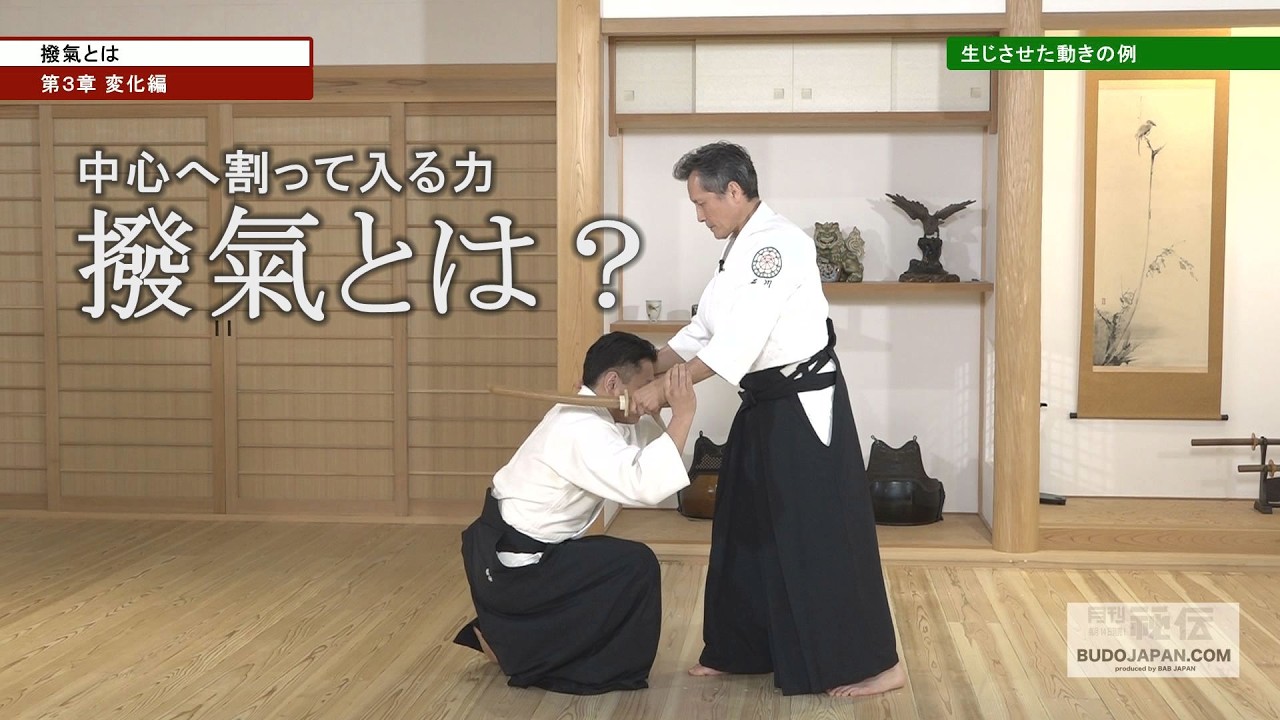 新作DVD動画】剣術を修めた武田惣角の答えとは！合氣道楽心館・石川