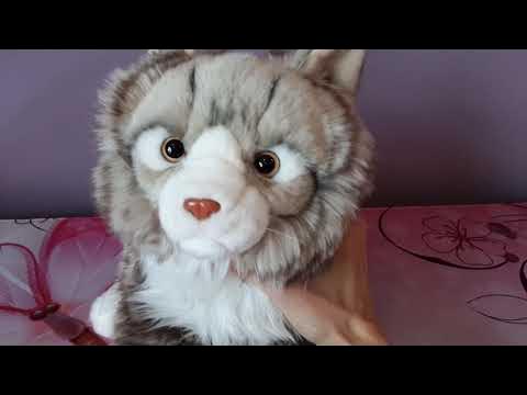 Review of the Uni-toys Norwegian Forest Cat Plush 🐈 - YouTube