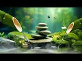 3 Hours Soothing Relaxation Music Sleep Music Relaxing Piano Music Water Sounds Meditation 3 Hours Soothing Relaxation Music Sleep Music Relaxing Piano Music Water Sounds Meditation