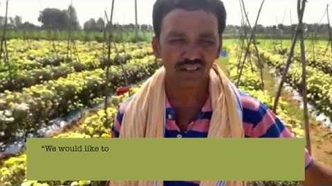 Cropmint | Farm management app | Sustainable agriculture | Bring back the pride in farming