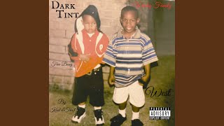 Dark Tint
