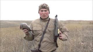 Охота на серую куропатку и фазана в Ростовской обл. Осень 2015