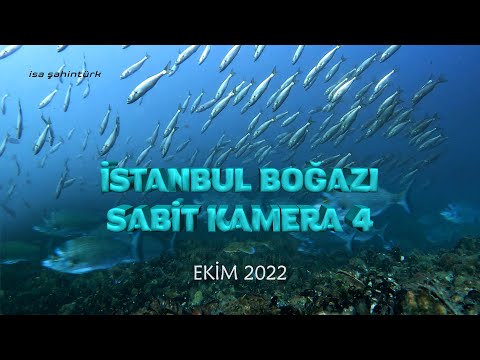İstanbul Boğazı'na Kamera Yerleştirdim 4  [4K]  Ekim 2022