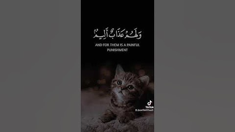 ﴿ فِي قُلُوبِهِمْ مَرَضٌ فَزَادَهُمُ اللَّهُ مَرَضًا ﴾ القارئ فارس عباد🌺