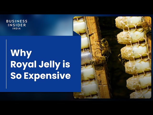Why Royal Jelly is So Expensive class=