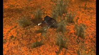 Deer Hunter uccisioni screenshot 3