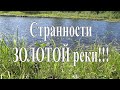 Странности ЗОЛОТОЙ реки!!!