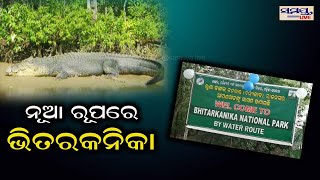 ନୂଆ ରୂପରେ ଭିତରକନିକା | Odia News Live Updates | Latest Odia News | Samayalive