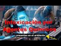 🔴 ¿Por qué es tan rápida la Intoxicación Química del Trabajador por la Vía Respiratoria?  👇