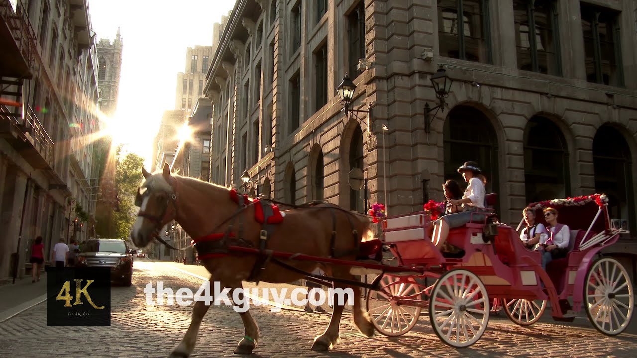 The 4K Guy - Demo reel of variety video footage in 4K UHD 2160p (3840 x 2160)